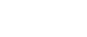 Goose logo